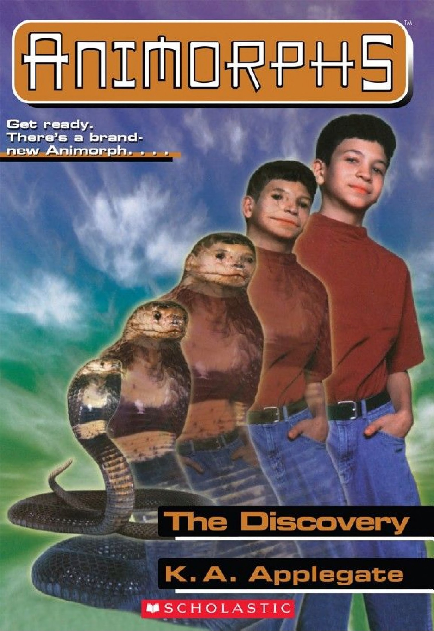 The Discovery