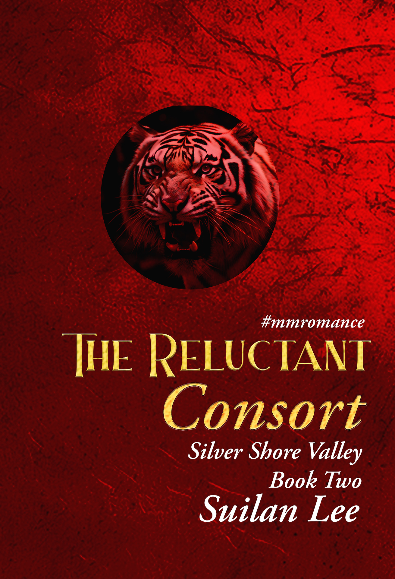 The Reluctant Consort - Silver Shore Valley